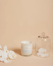 Load image into Gallery viewer, Linen - Palm Beach Collection Standard Candle 420g
